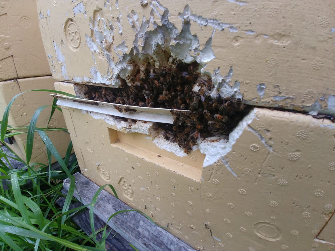 2020 Season photo 24